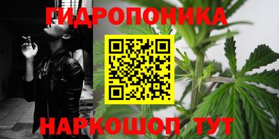 дмт Ставрополь