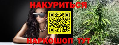 дмт Ставрополь